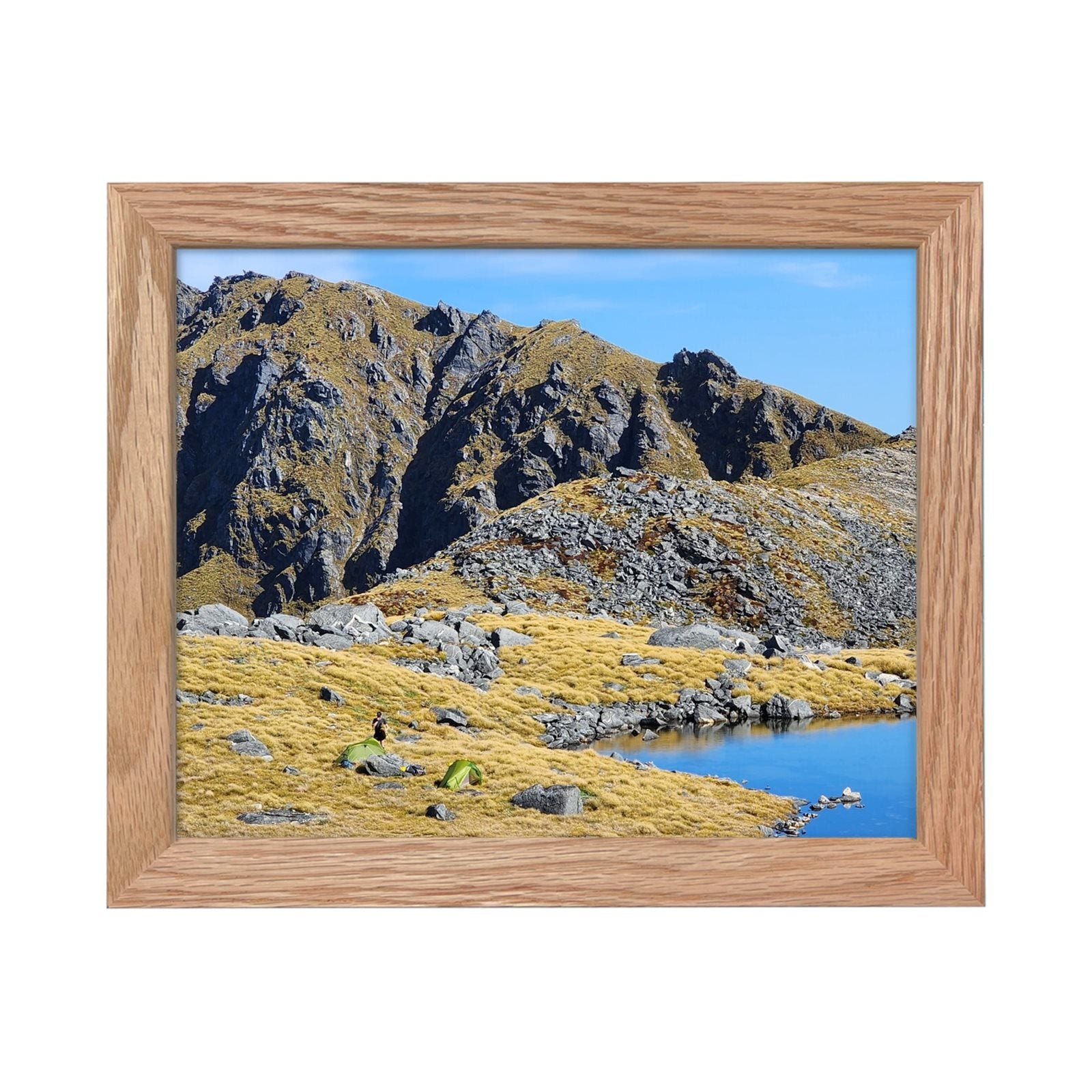 Fiordland NZ Ornate Frame Art