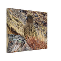 c0000df8-3794-43b4-89de-8444e84d4fde