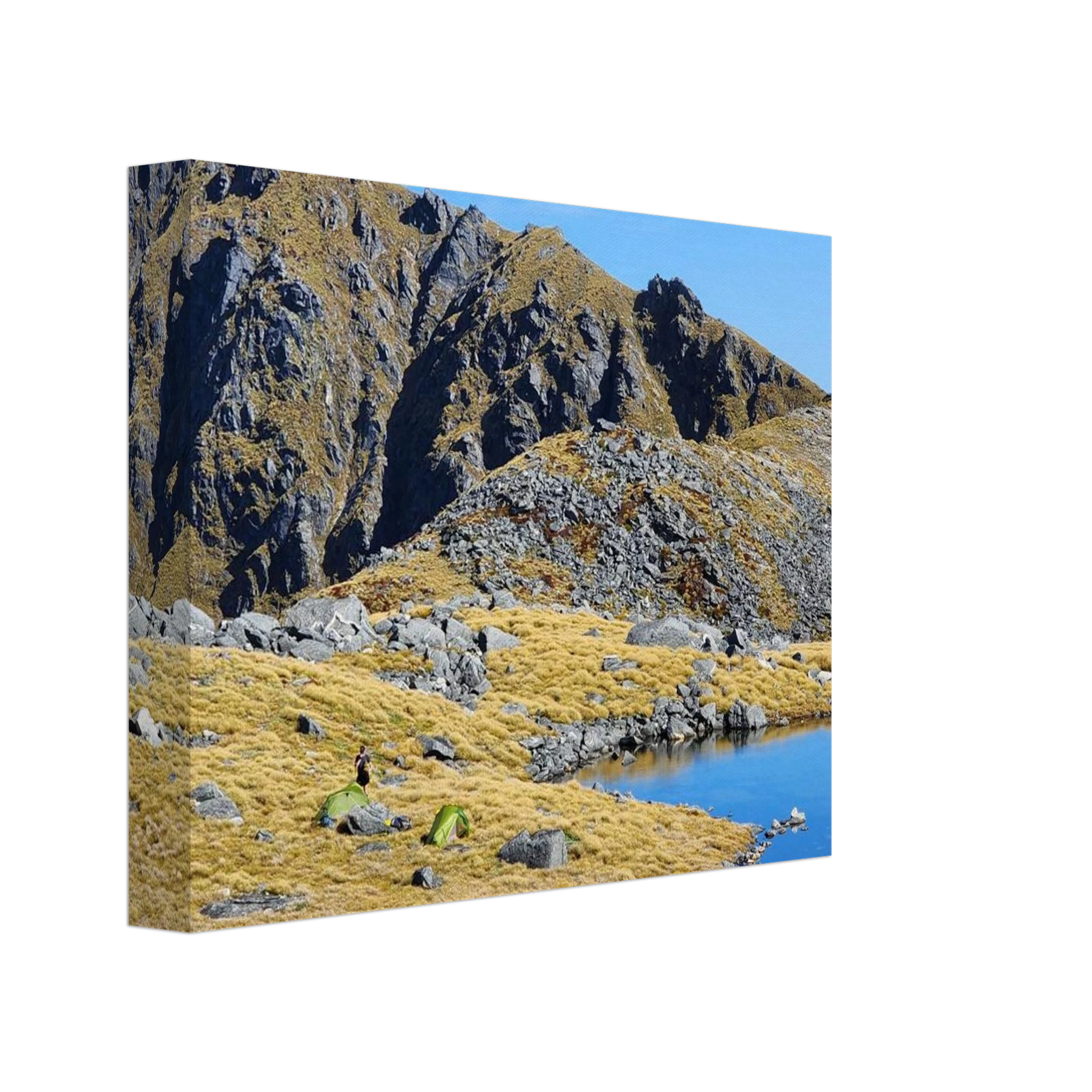 de1aedbb-1f33-41b4-abb7-7a8dce15e2a6